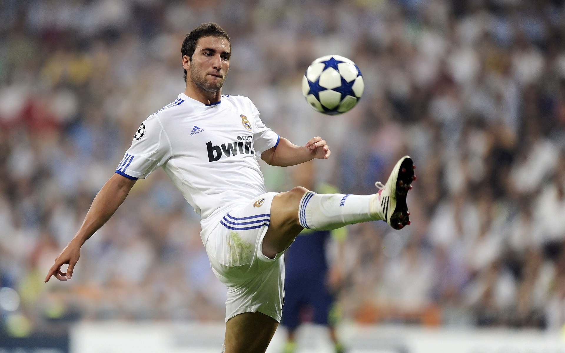 奥纳纳成胜负手，厄瓜多尔强势晋级—非洲雄鹰尼日利亚的遗憾与启示